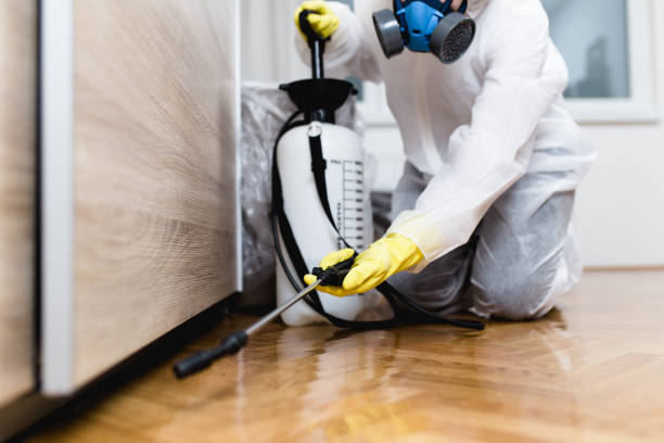 Reliable Jefferson, MD Pest Control Solutions