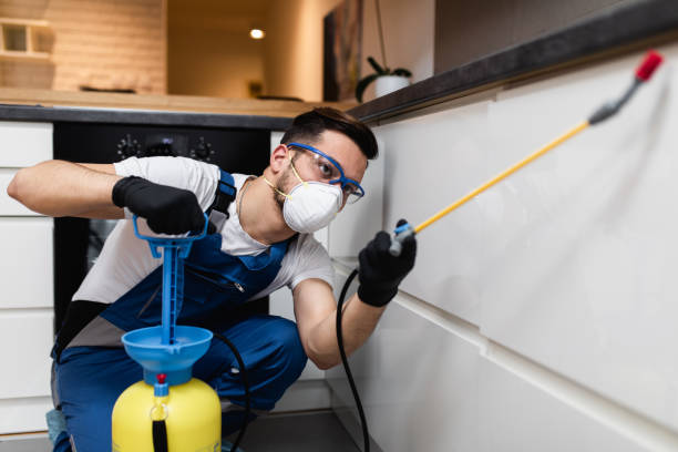 Best Pest Removal Services  in Jefferson, MD