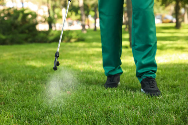 Best Emergency Pest Control  in Jefferson, MD