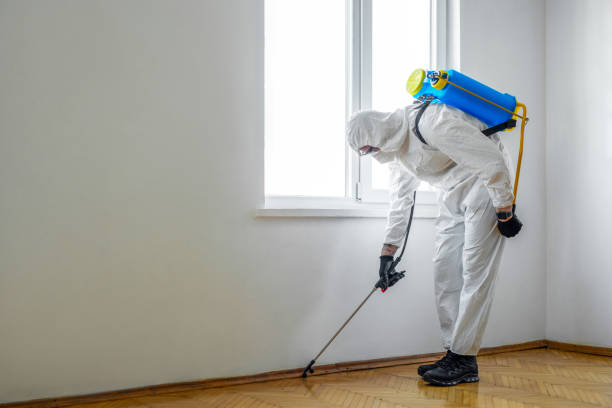 Best Wasp Removal Services  in Jefferson, MD