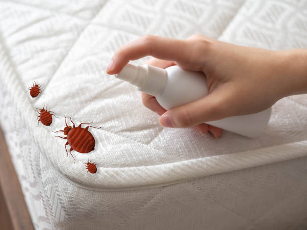 Best Exterminator Services  in Jefferson, MD