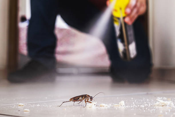 Best Mosquito Control Services  in Jefferson, MD