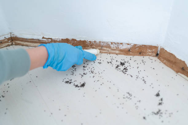  Jefferson, MD Pest Control Pros