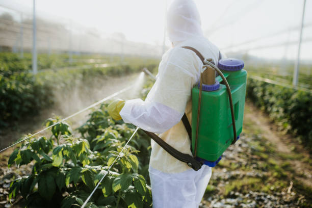 Best Best Pest Control Companies  in Jefferson, MD